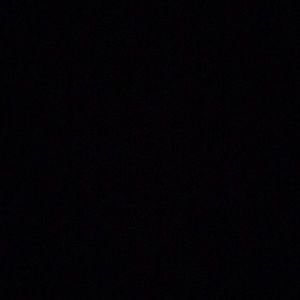 Meet your Posher, Rosa